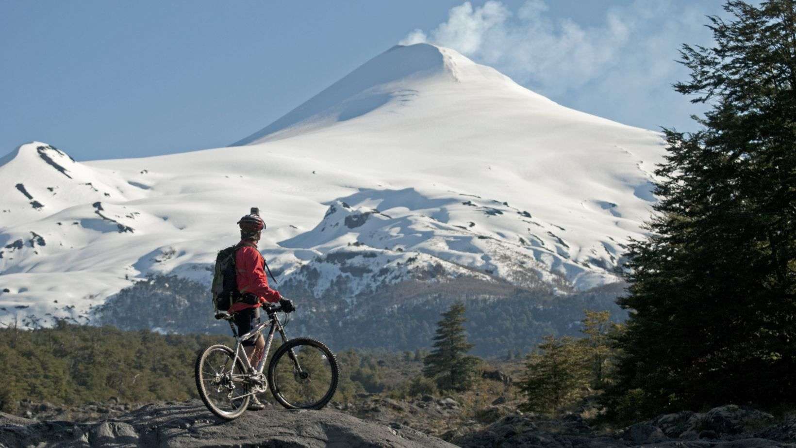 Bicicletas