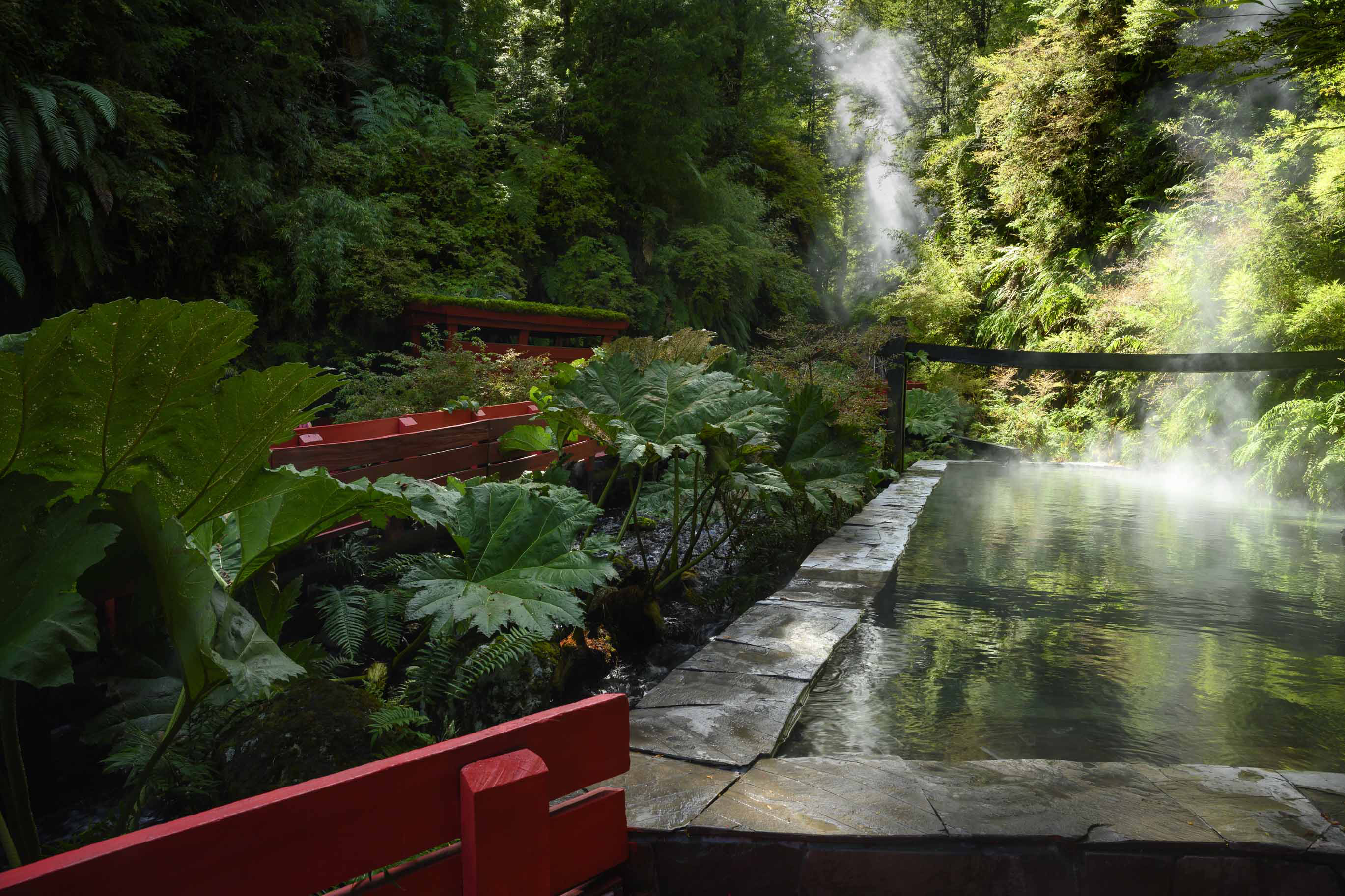Termas 2